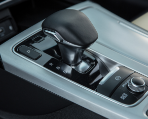 Kia Stinger blue details  (1)